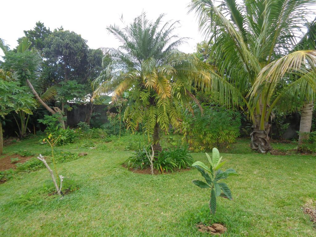 Bed and Breakfast L'Arbre De Vie Vincendo Exterior foto