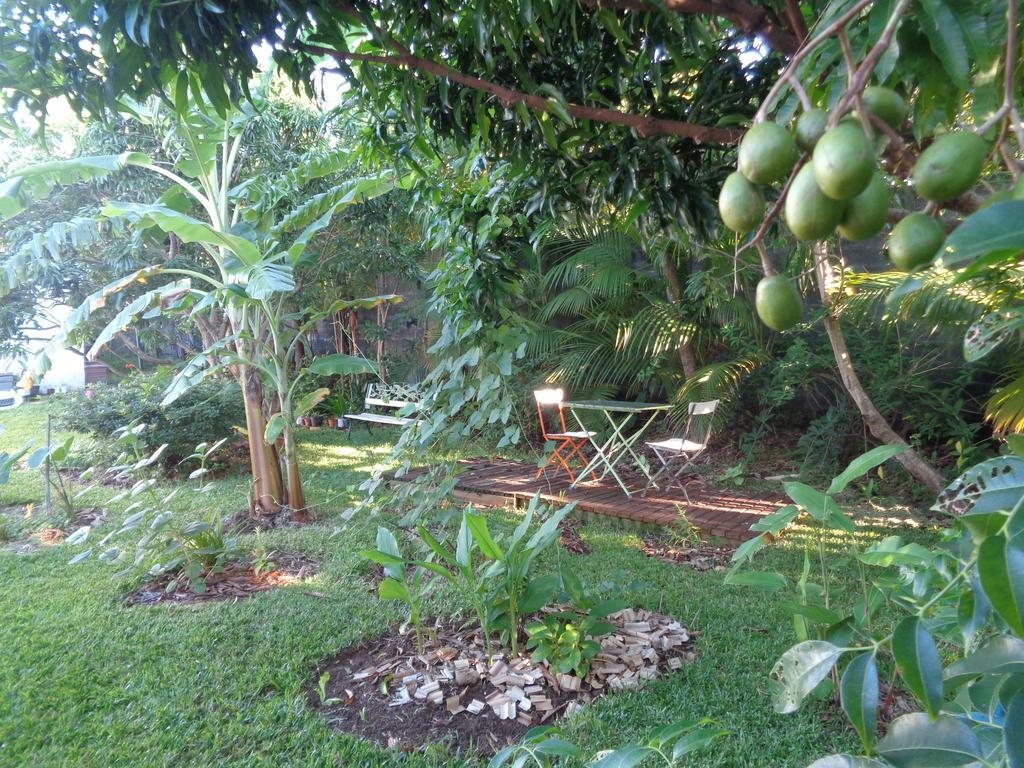Bed and Breakfast L'Arbre De Vie Vincendo Exterior foto
